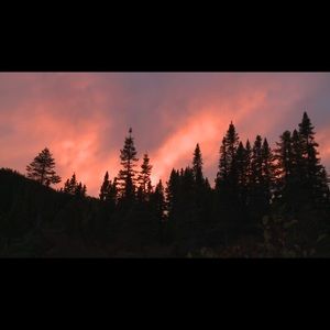 Meet your Posher, Adalina